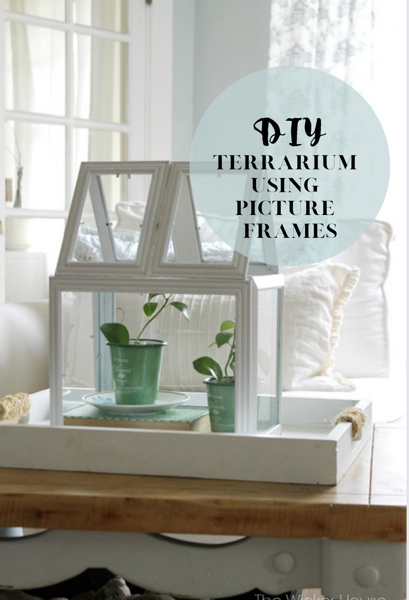 DIY Greenhouse Terrarium using Picture Frames