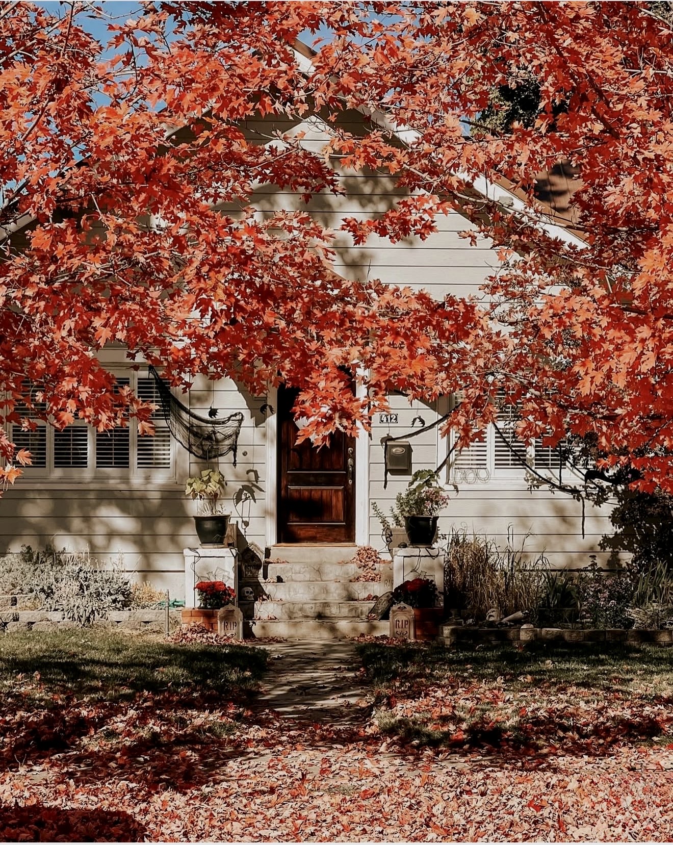 Halloween House 2024
