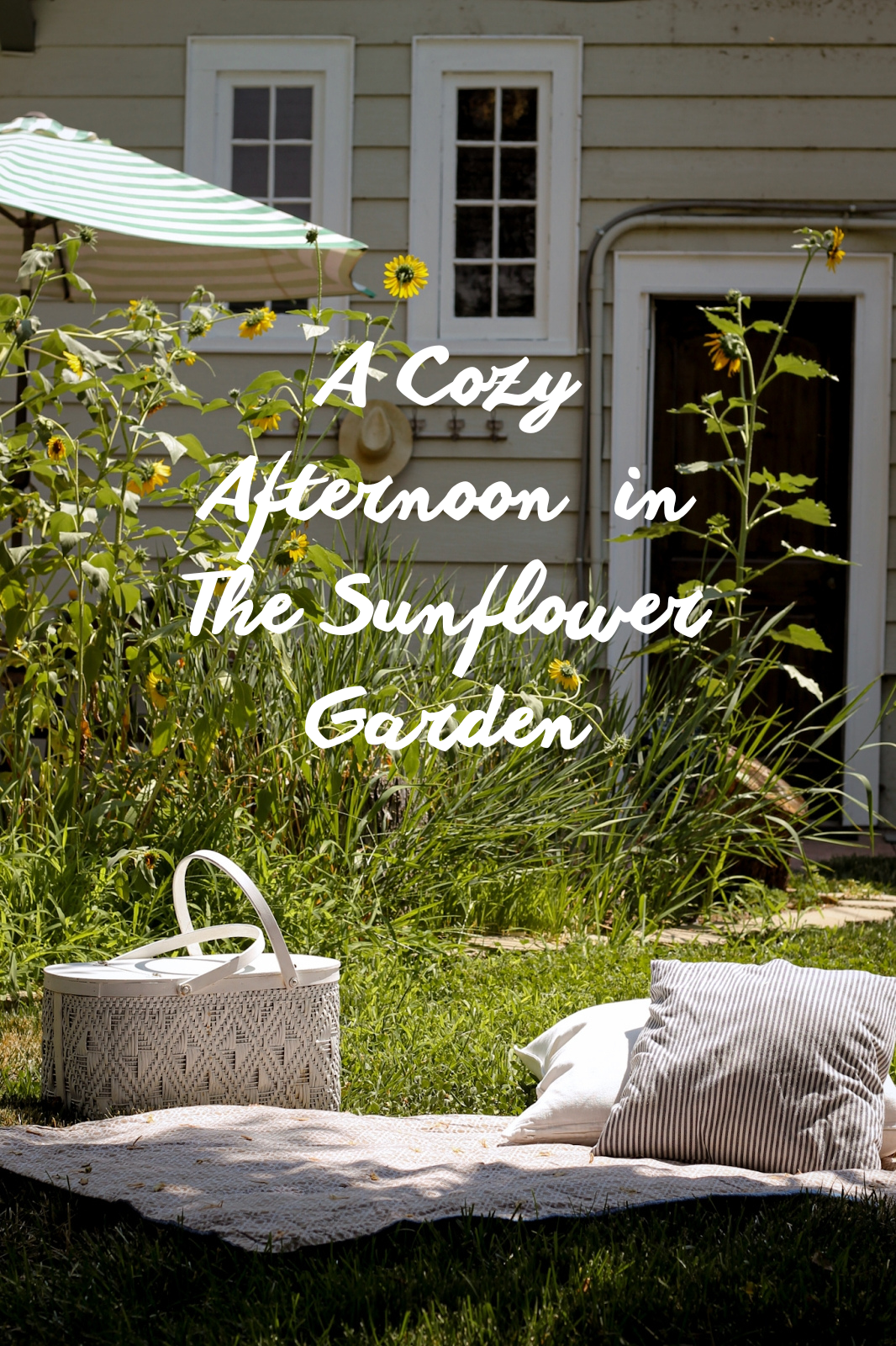 A Cozy Afternoon in the Sunflower Garden